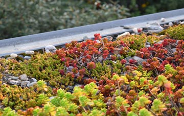 the cost of Sowley Green green roof installation
