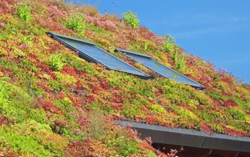 Sowley Green living roof systems