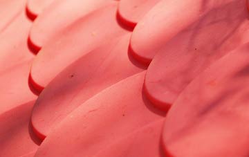 Sowley Green plastic roof costs
