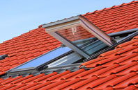 Sowley Green roof window